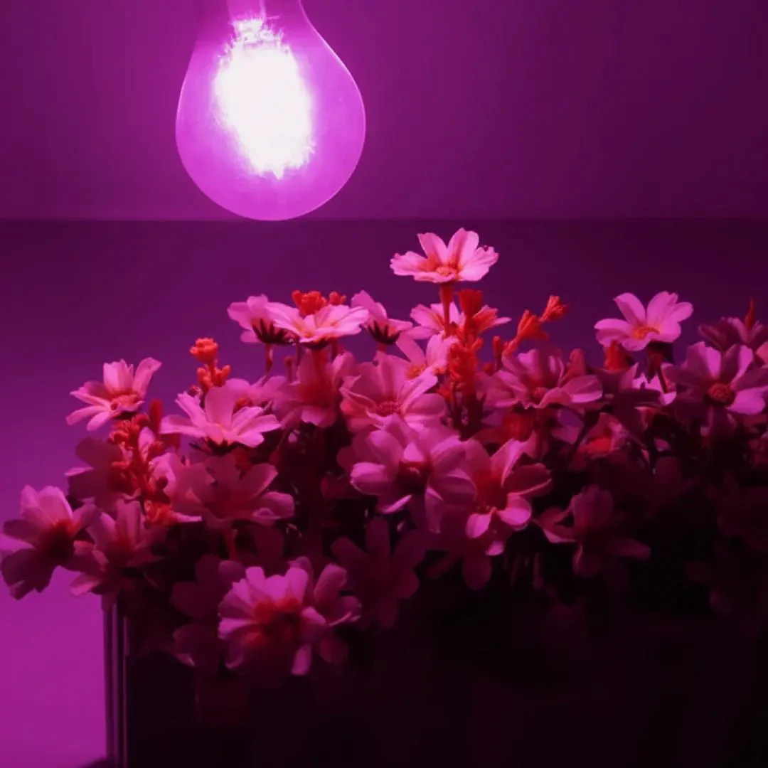 Ultralight LED Plant Growth Bulb 5W E27 - Faster-Growing Plants (UTLA250SG) - Image 2