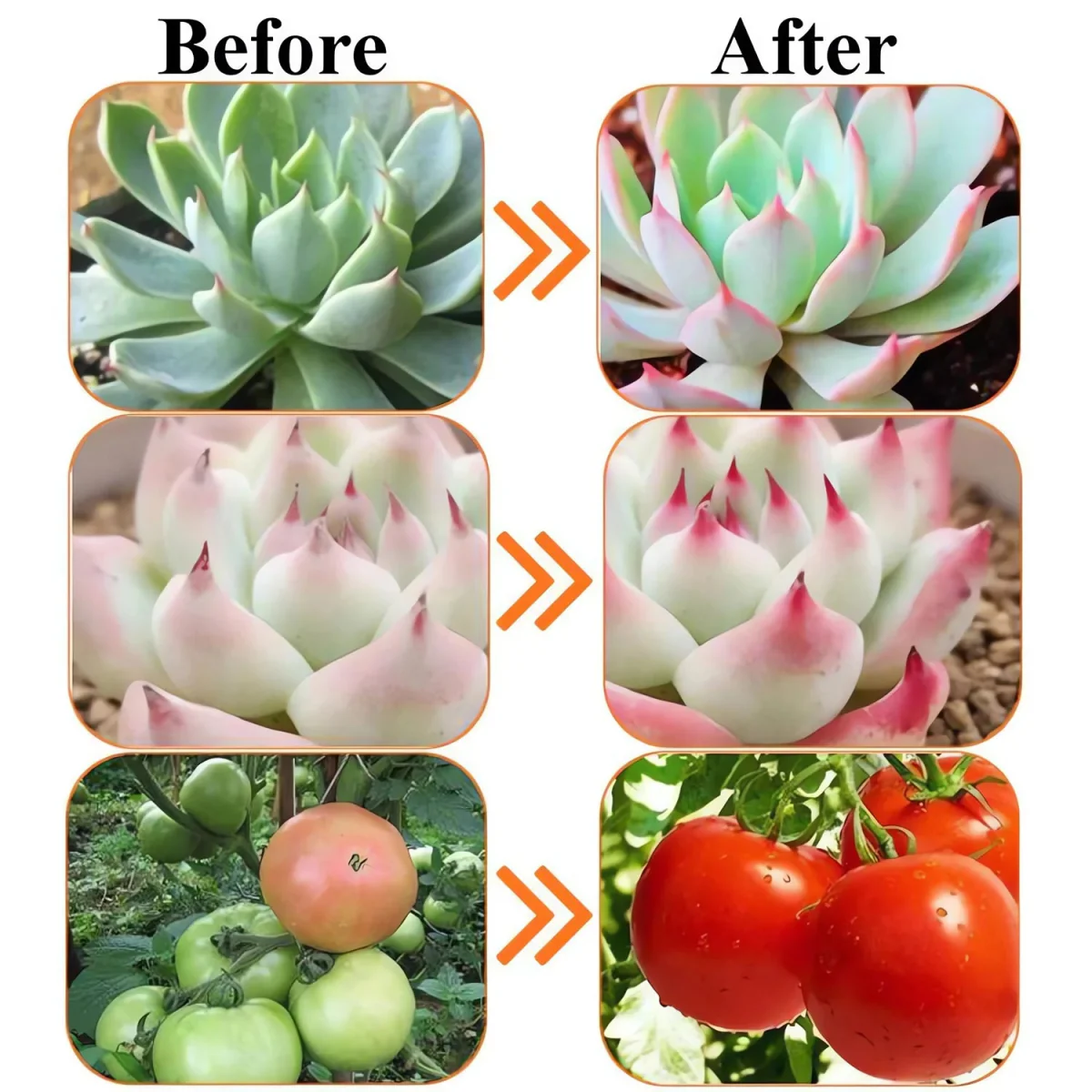 Ultralight LED Plant Growth Bulb 5W E27 - Faster-Growing Plants (UTLA250SG) - Image 4