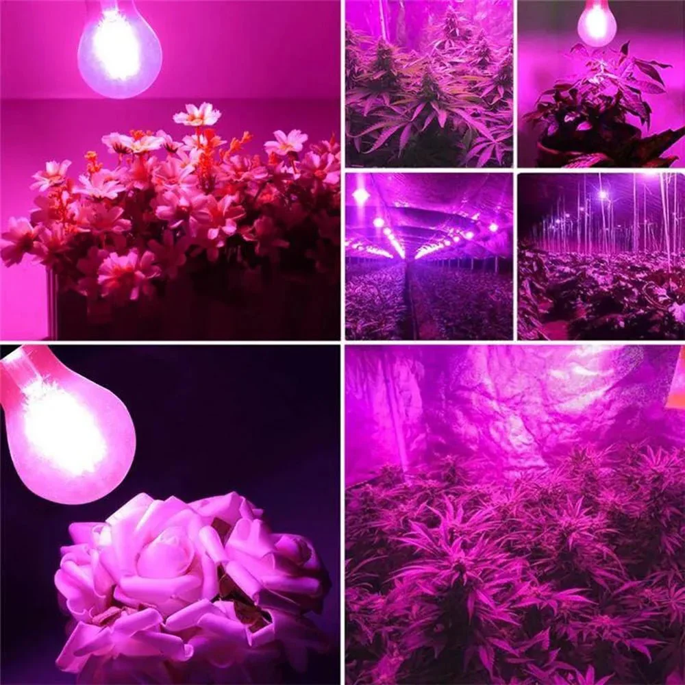 Ultralight LED Plant Growth Bulb 5W E27 - Faster-Growing Plants (UTLA250SG) - Image 5