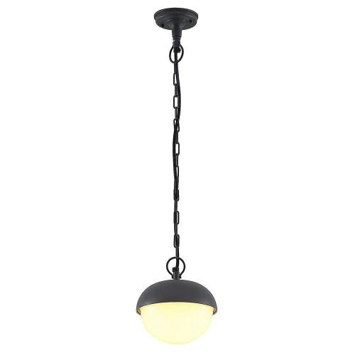 Ultralight Outdoor Pendant Light (FYL0228B) - Image 2