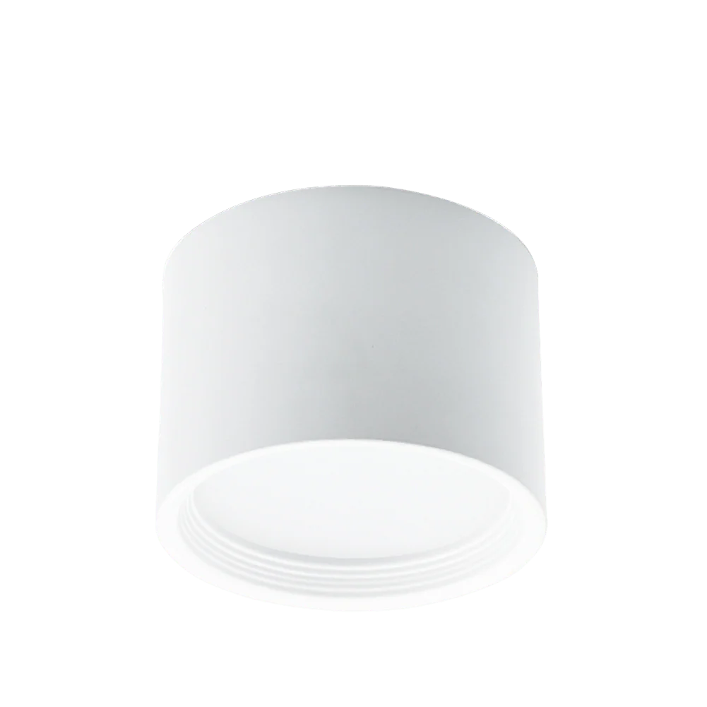 Ultralight Cylindrical Ceiling Light (BR2201A) | LED Indoor Fixture | Modern Design