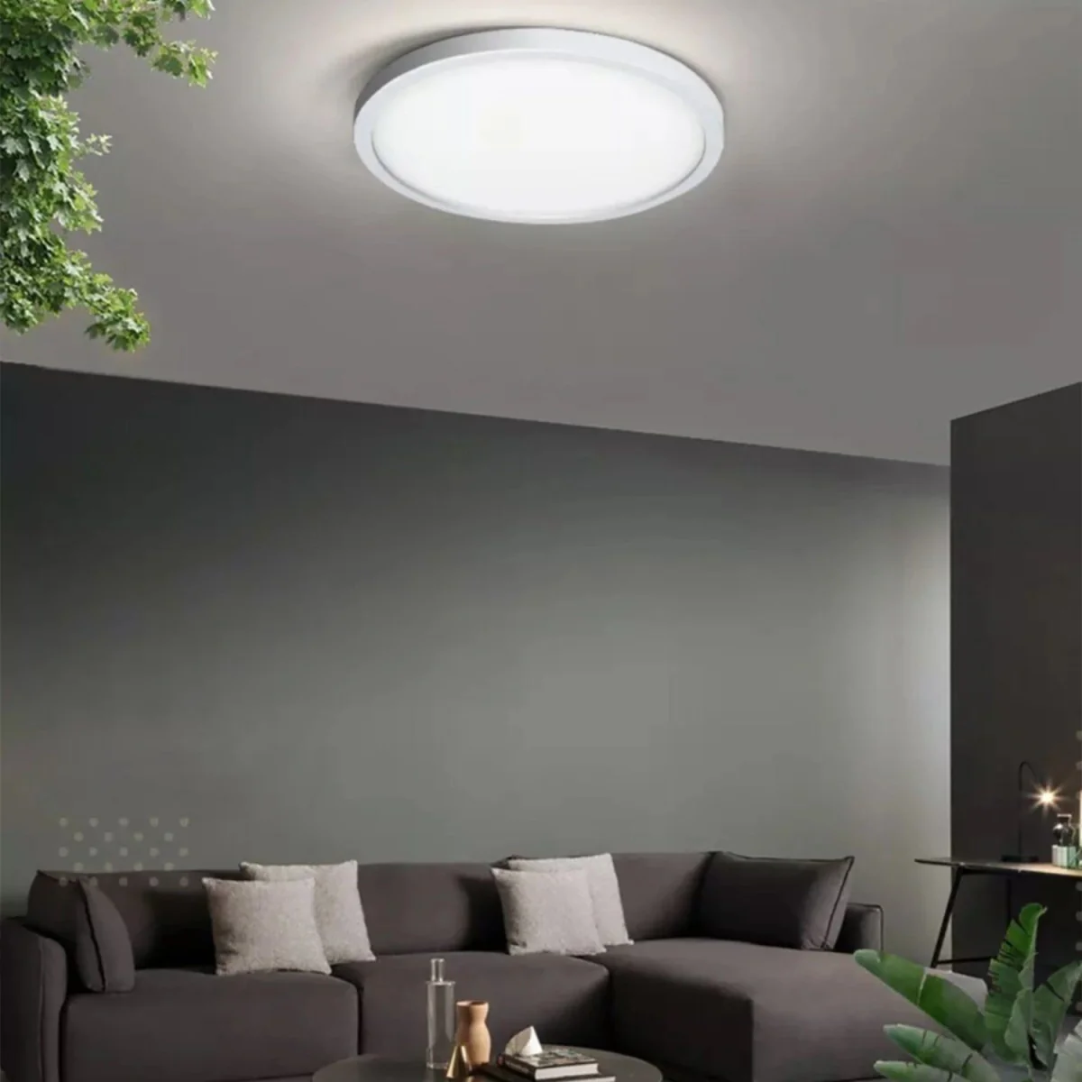 Ultralight Surface-Mounted Outdoor Light (H1331) - Image 2