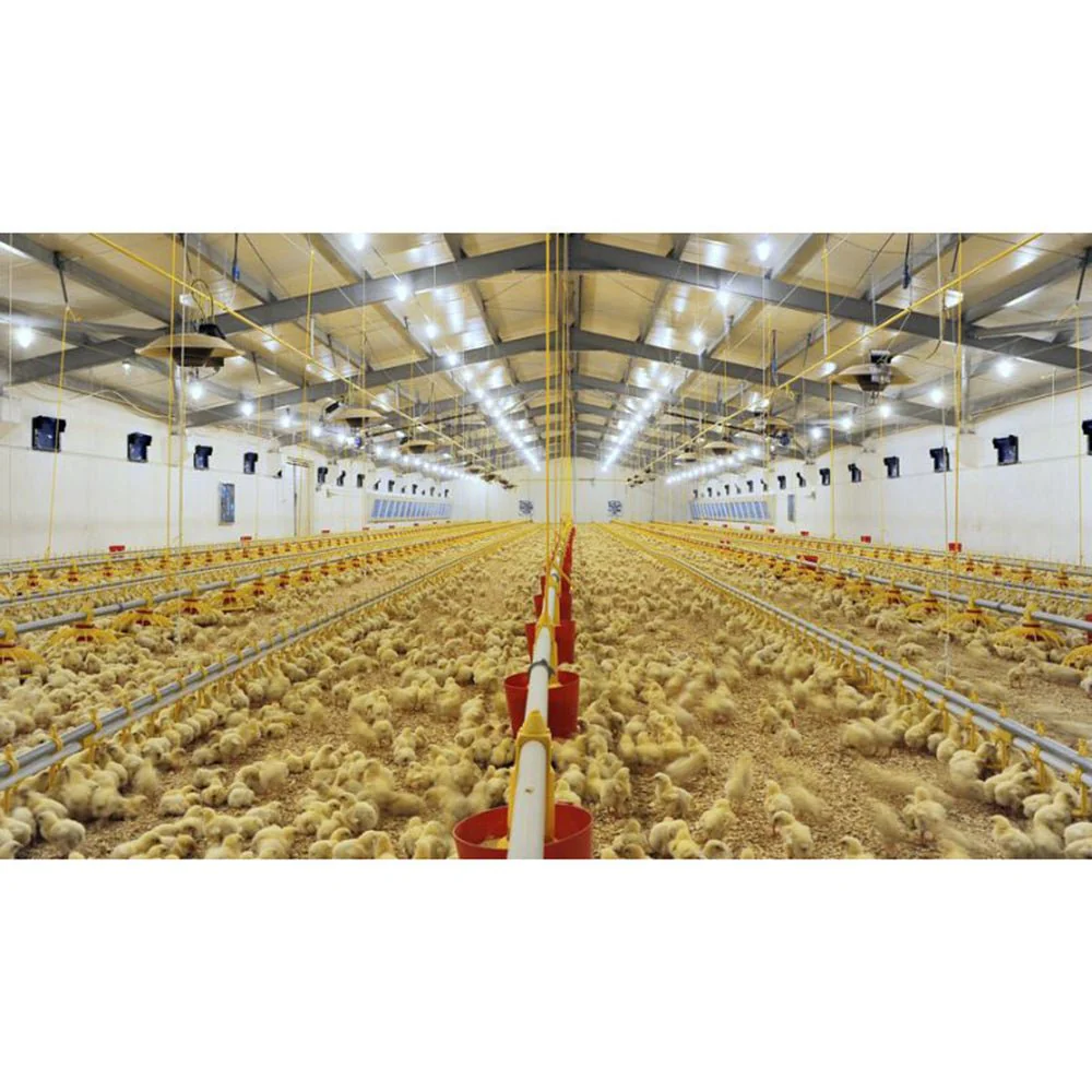 Ultralight Poultry Pendant Light E27 IP54 (FYL0231) - Image 4