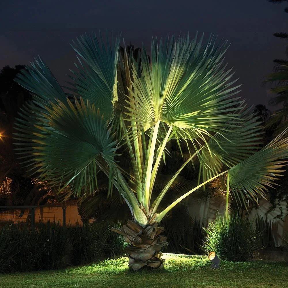Ultralight Spike Spotlight COB 10W (BD4230) - Image 6